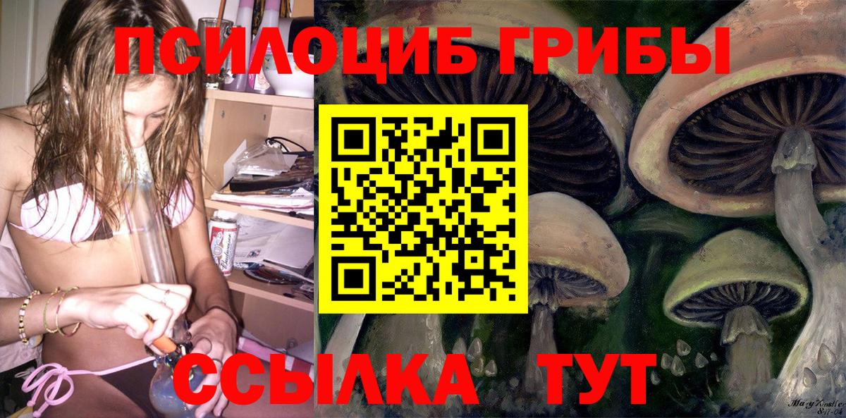 Лесной  Галлюциногенные грибы MAGIC MUSHROOMS  Вход с VPN 
