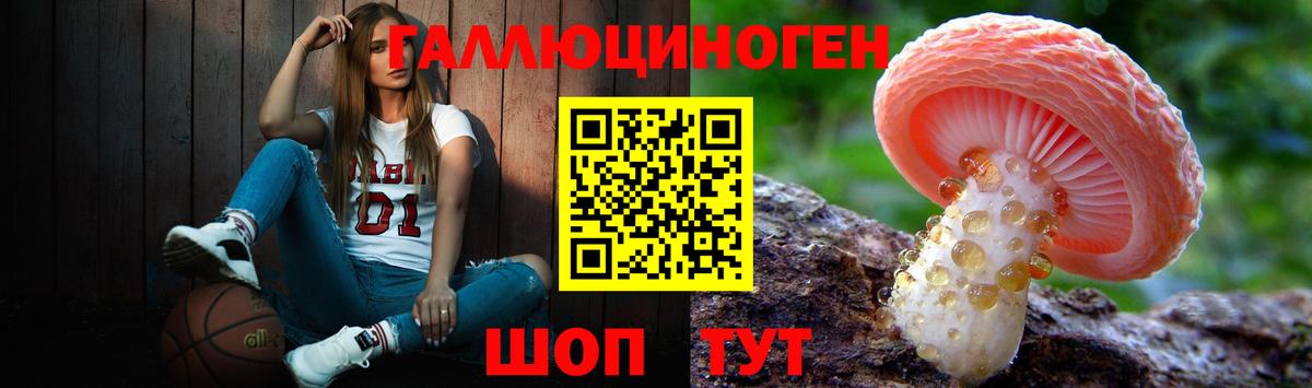 Галлюциногенные грибы GOLDEN TEACHER Лесной